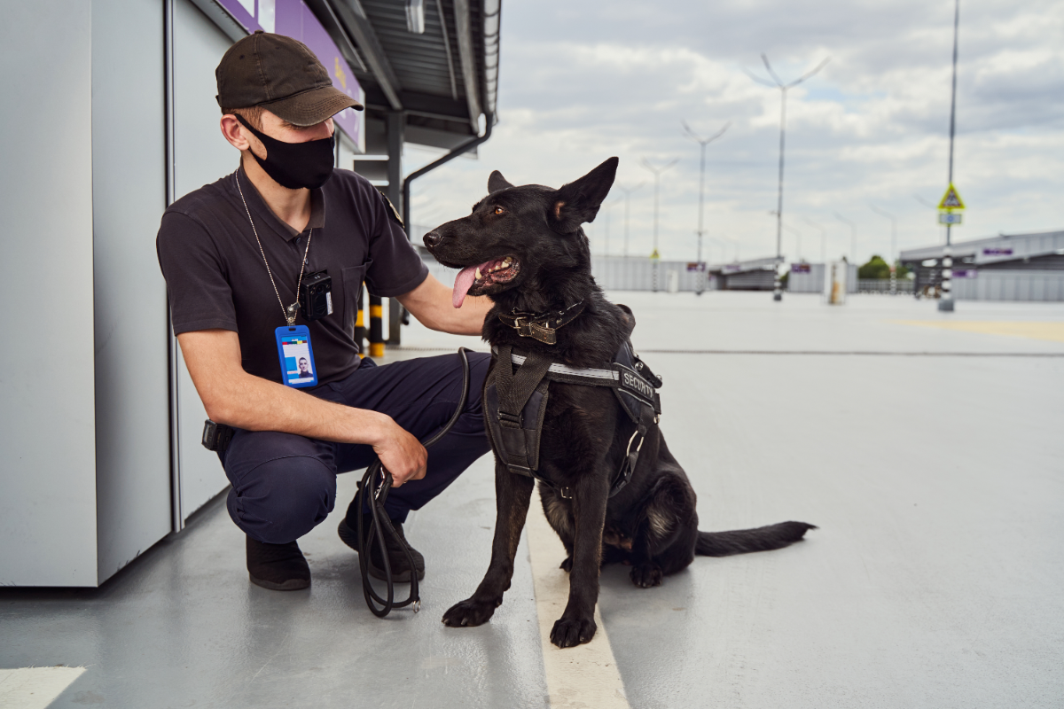 Quelles compétences clés pour les agents formés en sécurité aéroportuaire ?